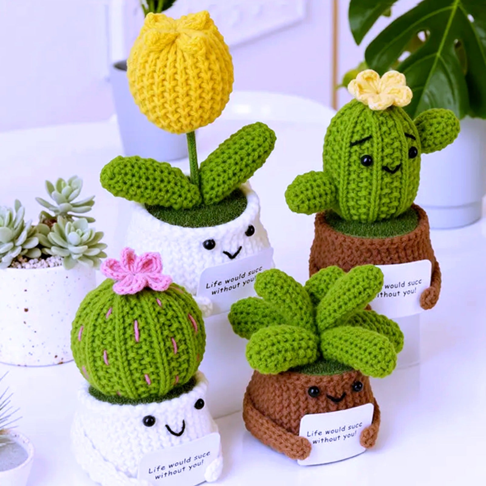 Crochet Cactus & Succulent Pot