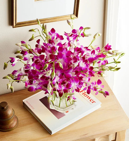 Exotic Breeze™ Orchids