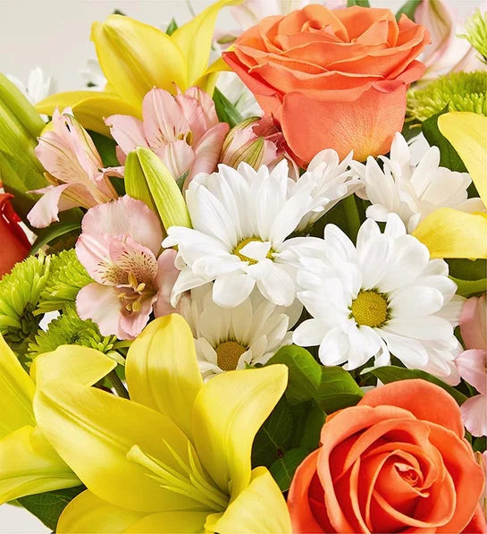 Fields of Europe® Get Well Bouquet