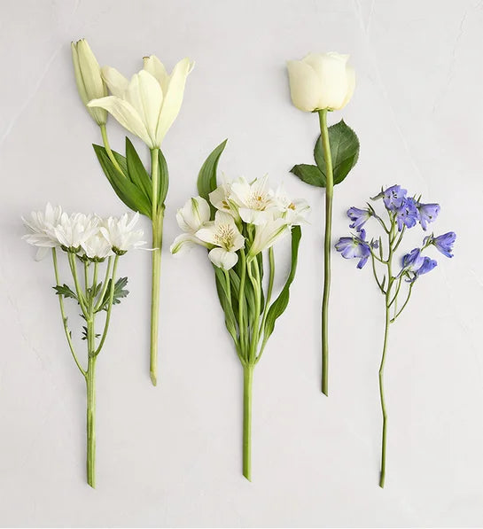 Silent Grace™ Bouquet