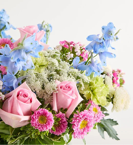 Delphinium Garden™