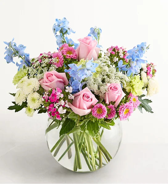 Delphinium Garden™
