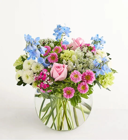 Delphinium Garden™