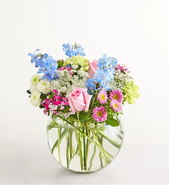 Delphinium Garden™