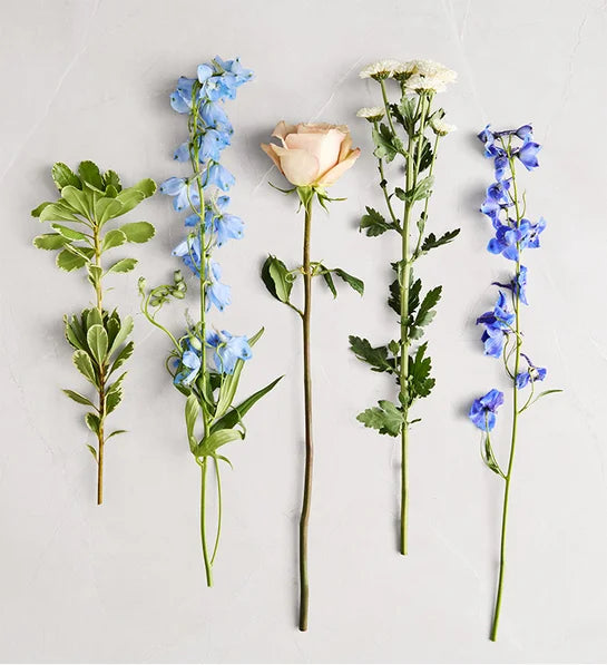 Honey Bee Buzz™ Delphinium Bouquet