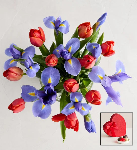 Bunches of Love Tulip & Iris Bouquet
