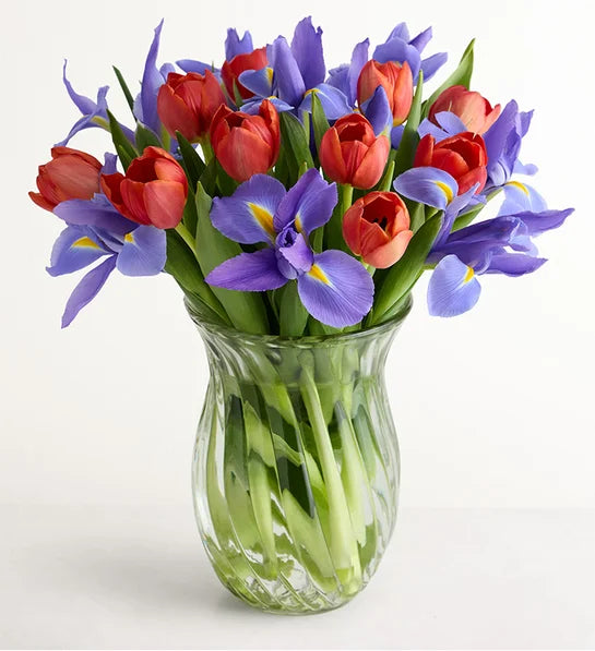 Bunches of Love Tulip & Iris Bouquet