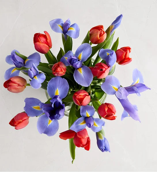 Bunches of Love Tulip & Iris Bouquet