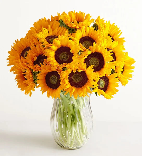 Honey Bee Buzz™ Delphinium Bouquet