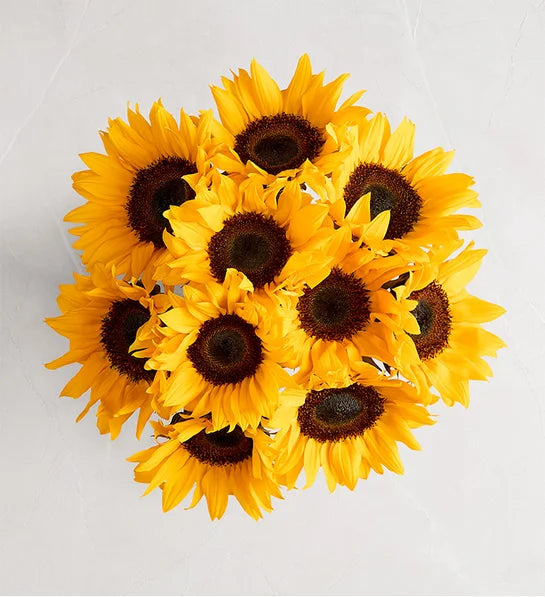 Honey Bee Buzz™ Delphinium Bouquet