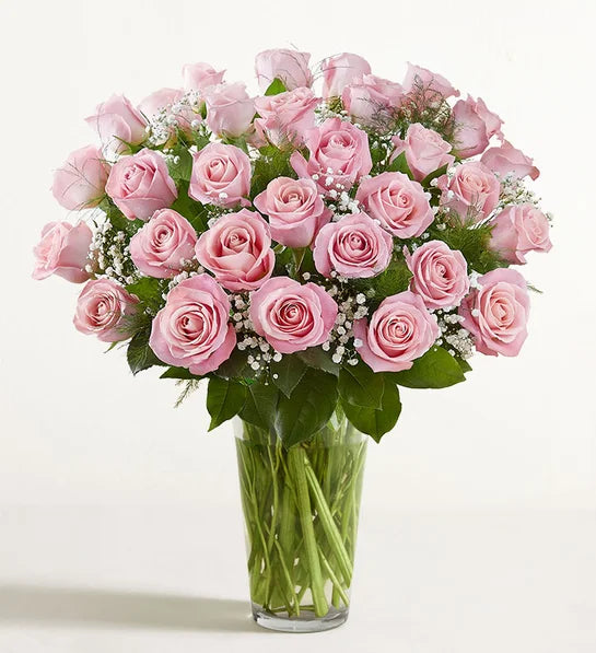 Rose Elegance™ Premium Long Stem Roses