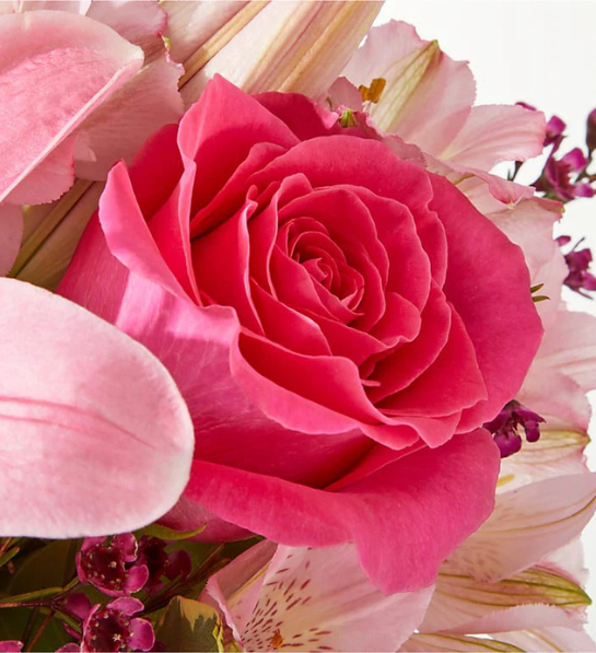 Blushing Pink Lily & Rose Bouquet